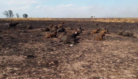 incendios corrientes 1