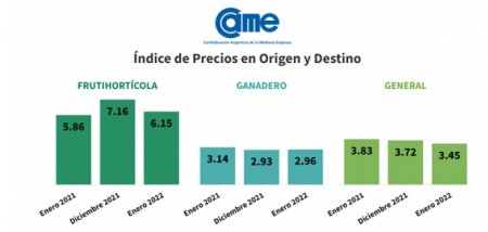 Brechas de precios - CAME - Enero 2022