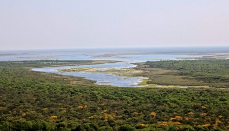 humedales