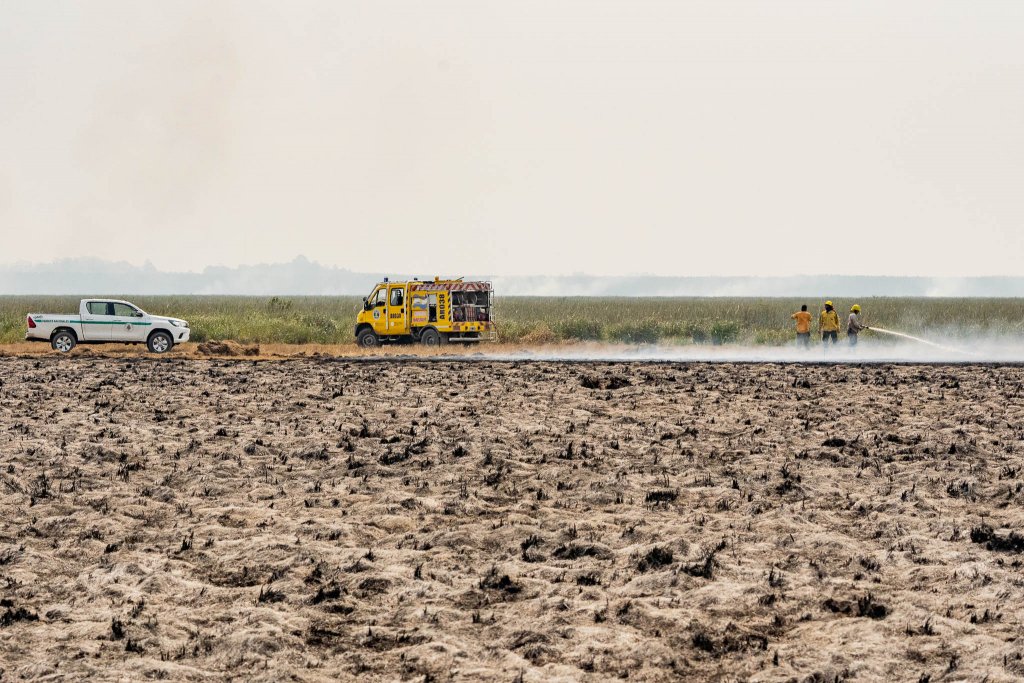 Incendios Iberá Fundación Rewilding Argentina 03