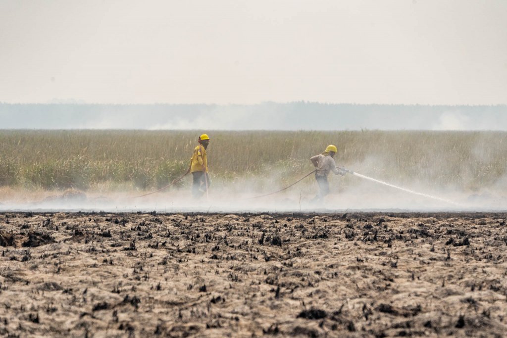 Incendios Iberá Fundación Rewilding Argentina 04