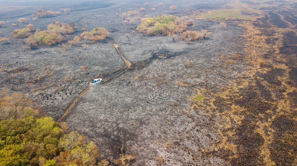 Incendios Iberá Fundación Rewilding Argentina 08