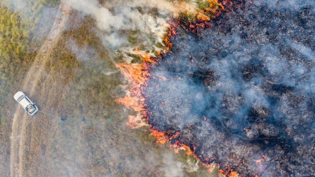 Incendios Iberá Yerbalito Matias Rebak Fundacion Rewilding Argentina 11