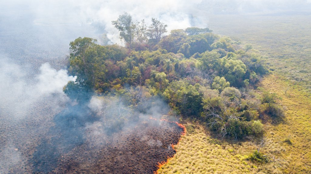 Incendios Iberá Yerbalito Matias Rebak Fundacion Rewilding Argentina 68
