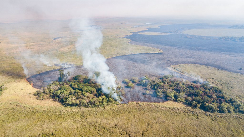 Incendios Iberá Yerbalito Matias Rebak Fundacion Rewilding Argentina 70