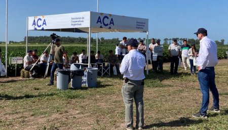 Jornada A Campo Abierto ACA