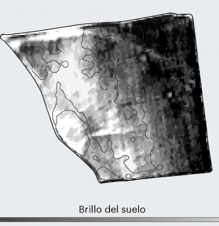 OneSoil Suelo