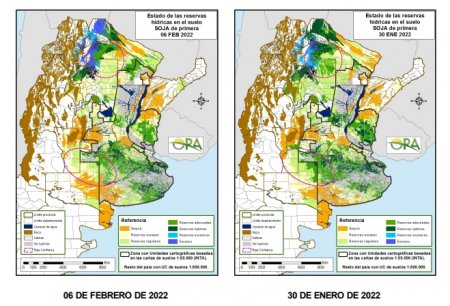Suelos Segunda semana de febrero