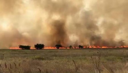 incendios mesa enlace