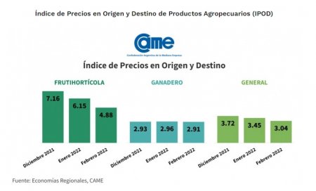 Brecha de precios CAME Febrero