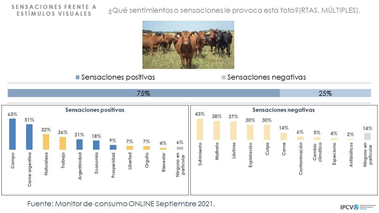 Carne Encuesta