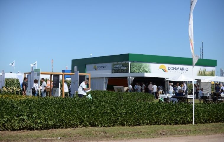 Don Mario infocampo