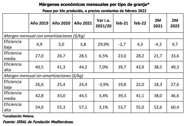 márgenes cerdo