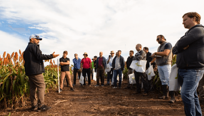nuseed jornada a campo