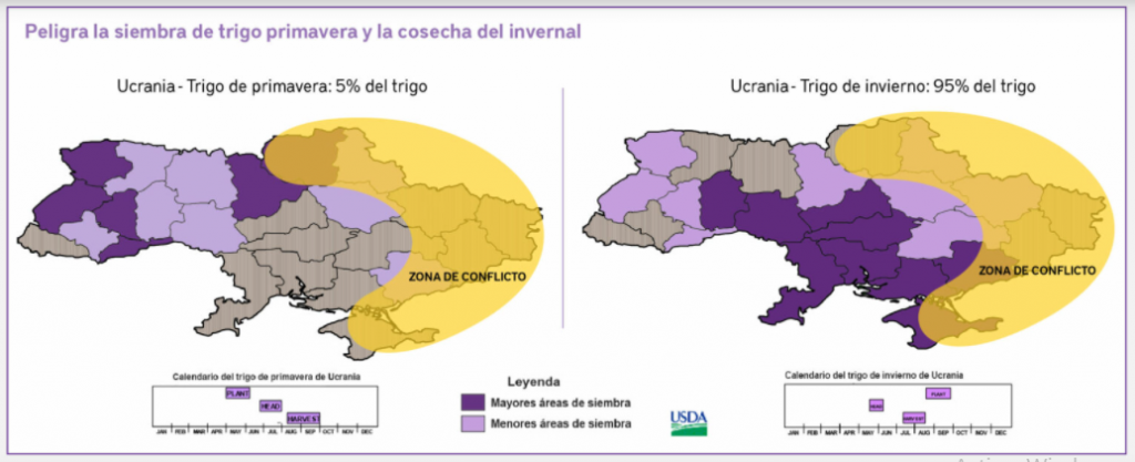 trigo ucrania