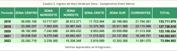 Yerba Ingreso hoja verda