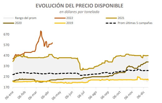precio girasol