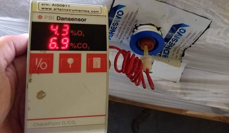 inta balcarce medición