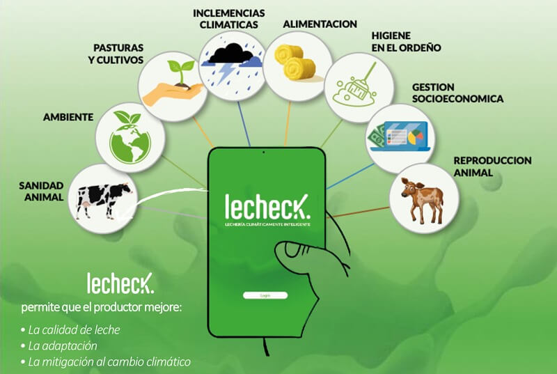 lecheck 3