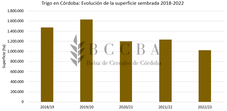 siembra trigo cba