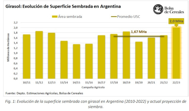 Girasol 1