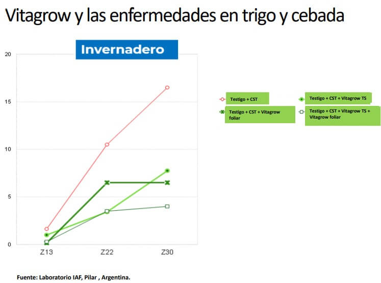 rizo 2