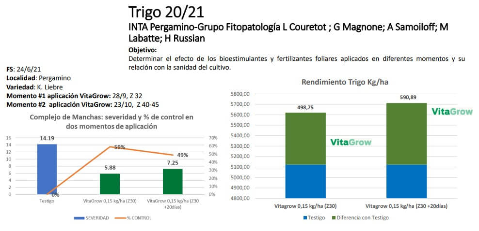 rizo 3