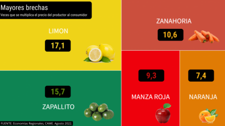 Precios Campo Gondola