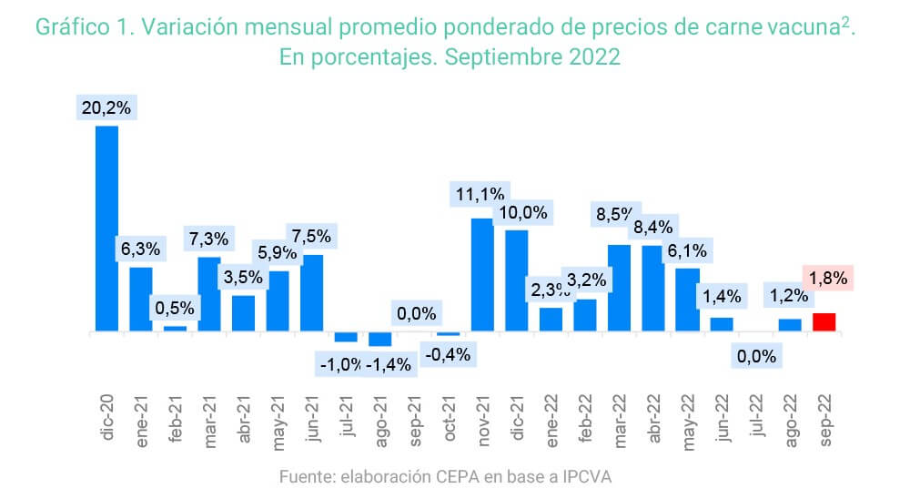Carne Precios