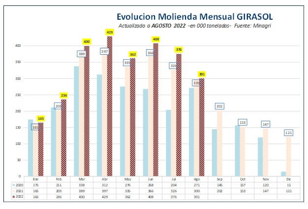 girasol mol