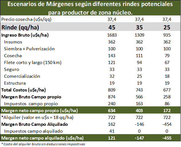 Soja Margenes