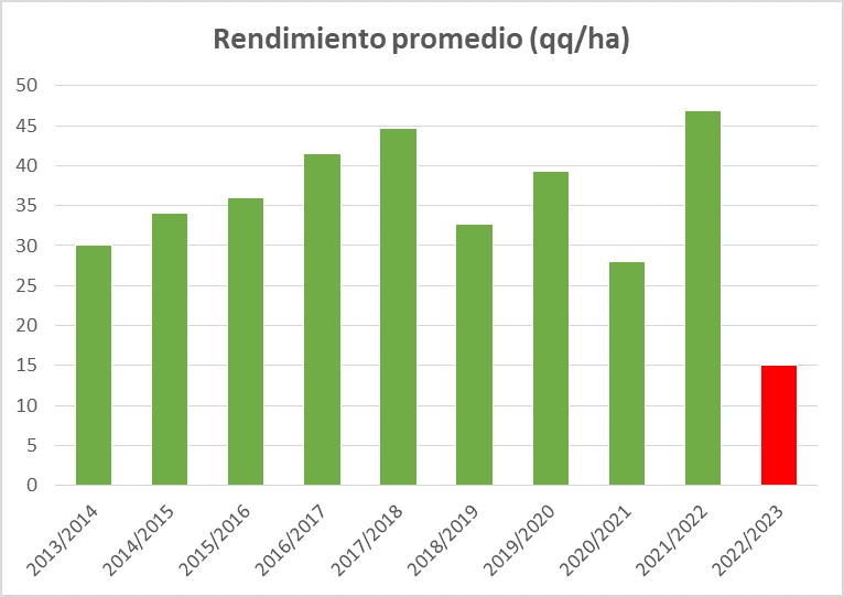 rinde trigo bcr