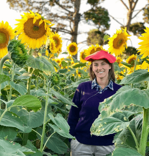 Actualidad en girasol
