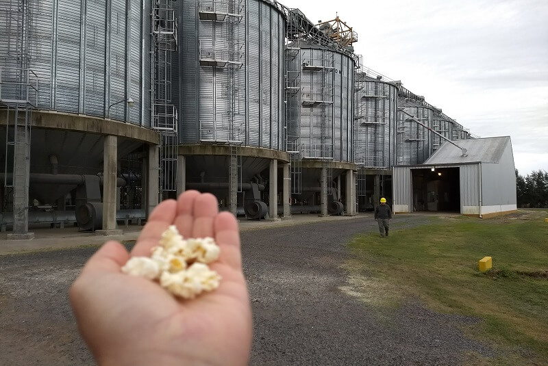 grano acopio