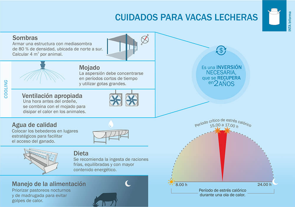 Mejor prevenir: se viene otra ola de calor y el INTA recomendó “ventilar y mojar” a las vacas lecheras 2 INTA mojado ventilacion 2