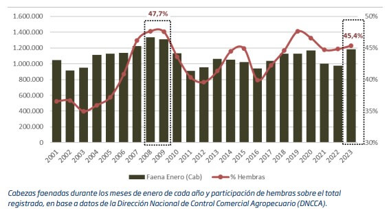 faena y hembras rosgan