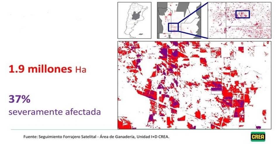Impacto de heladas