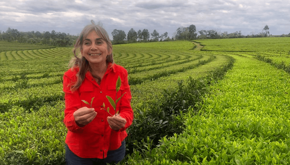 adriana yanez akasha tea