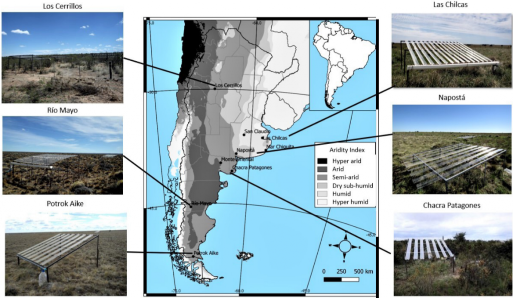 En zonas áridas, la falta de agua reduce hasta un 50% la producción forrajera 1 bondaruk mapa y fotos de sitios