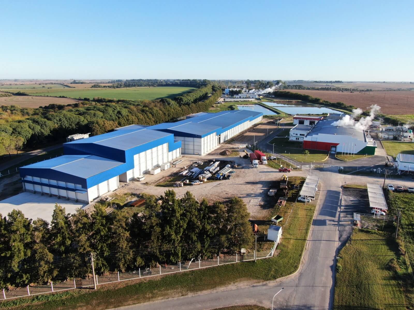 Gripe aviar: el primer brote en la principal provincia productora de pollos obligó a sacrificar 20.000 aves 7 Grupo motta