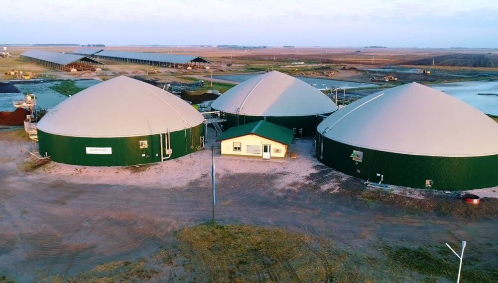 En el sur de Santa Fe, 14.000 vacas en tambos calesita hacen girar la economía circular 1 adeco