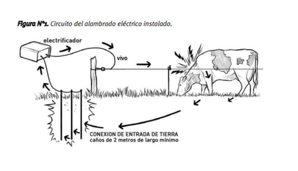 electricos