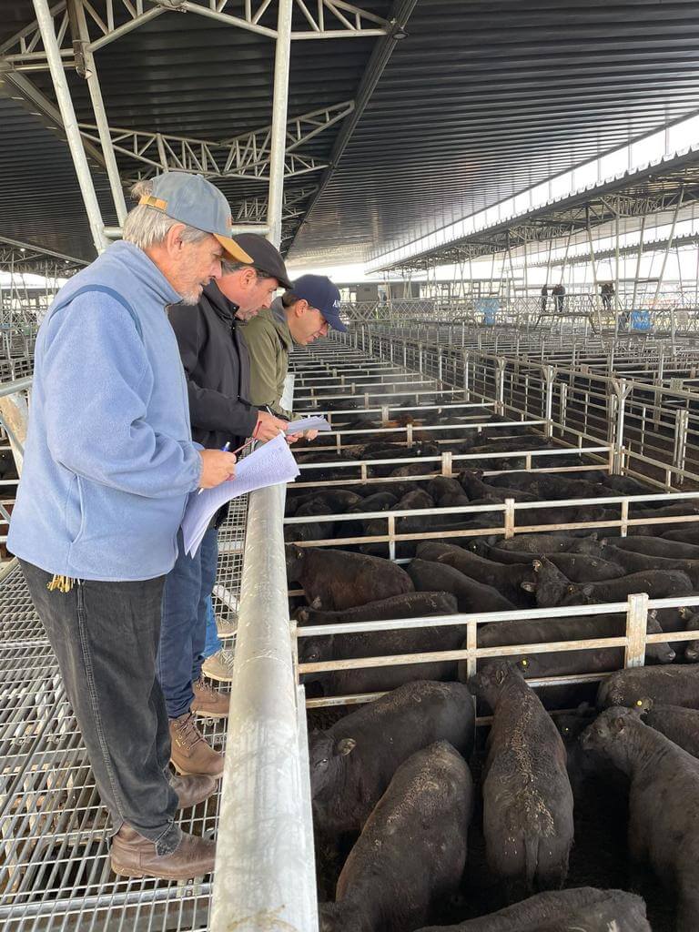 La Expo Angus de Otoño dio sus primeros pasos con un concurso y un remate en Cañuelas 1 jurados