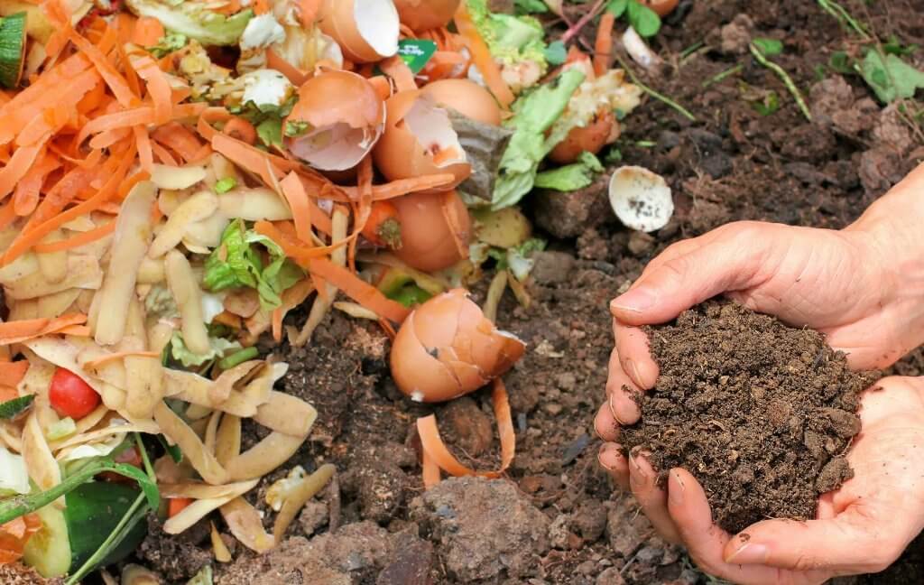 compost familiar