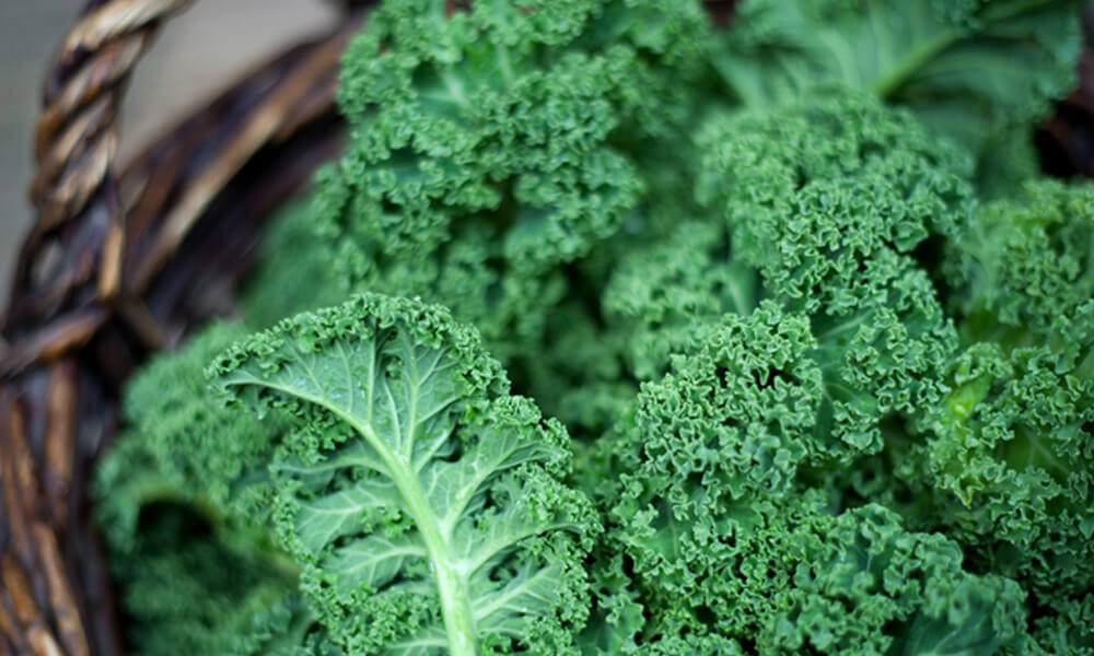 kale inta