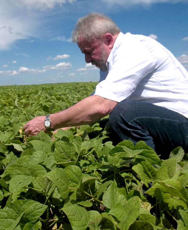COP 28: cómo es el plan para crecer en producción de pasturas que presentará Brasil 2 lula campo 2