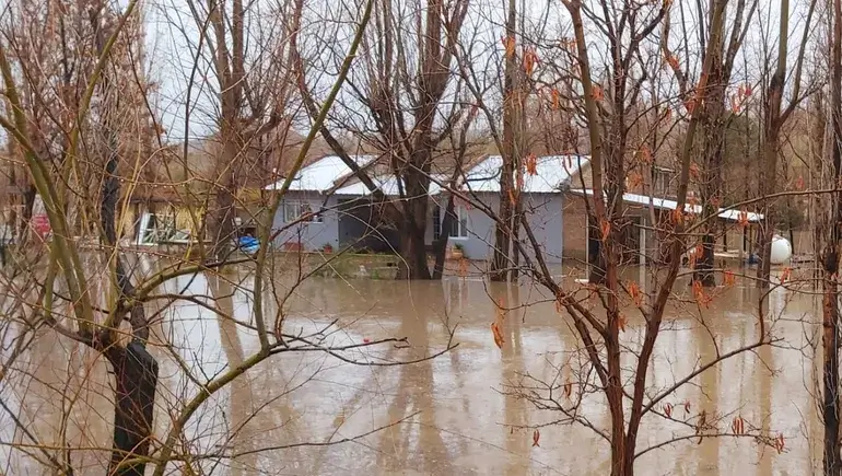 Evacuados y campos inundados: un temporal en la cuenca del río Neuquén dejó graves daños 3 temporal neuquen