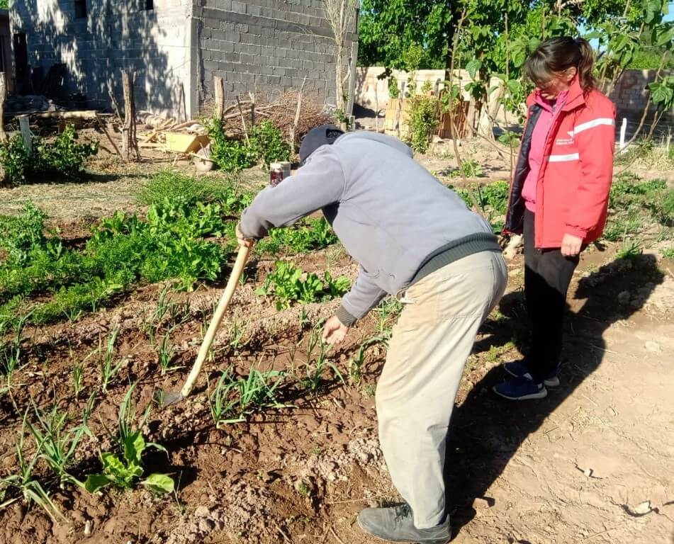 huerta en invierno