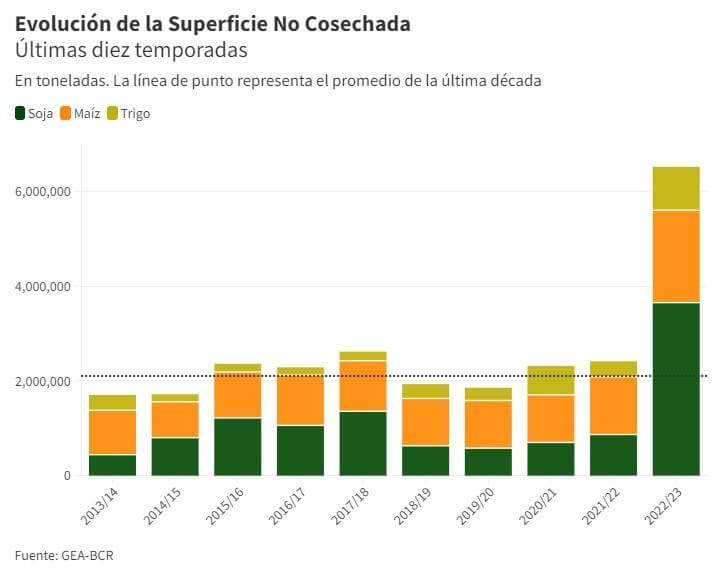 superficie no cosechada