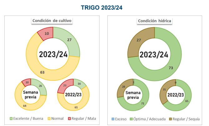 trigo estado y condicion